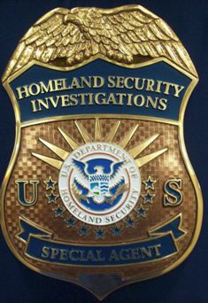 DHS_HSI Special Agent Badge with fog